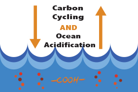 【海洋與環境】海洋碳循環與海水酸化 (全2集)